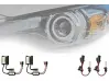 Ксенон H10 10000K 12V/24V/55W PREMIUM POWER
