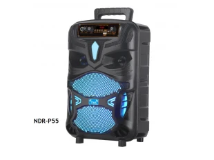 Караоке тонколона с Bluetooth NDR-P55 8'' и микрофон