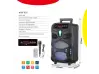 Караоке тонколона с Bluetooth NDR-P55 8'' и микрофон