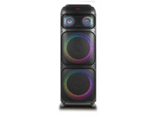Професионалнa светеща караоке тонколонa 2x12 инча WVNGR WGY-1222
